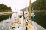 Elfin Cove