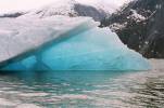 Tracy Arm fjord