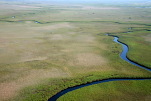 Duba Plains