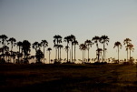Camp Kalahari