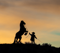 Magic of Cowboys in Montana