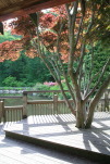 Teahouse