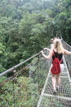 Hanging Bridges