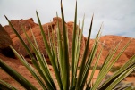 Valley of Fire