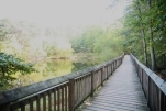 Cliffs