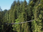 suspension bridge
