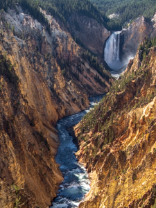 Yellowstone Park